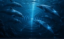 Marine Dialogue